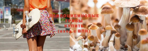 спайс Арсеньев