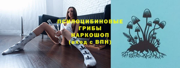 спайс Арсеньев
