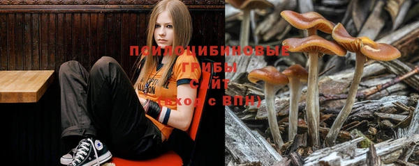 молекула духа Балахна