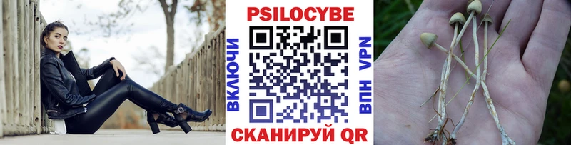 это официальный сайт  Биробиджан  Галлюциногенные грибы Psilocybine cubensis 
